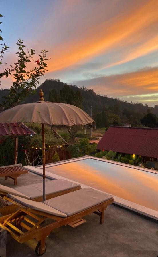 Bukit Catu Bungalows Kintamani  Ngoại thất bức ảnh