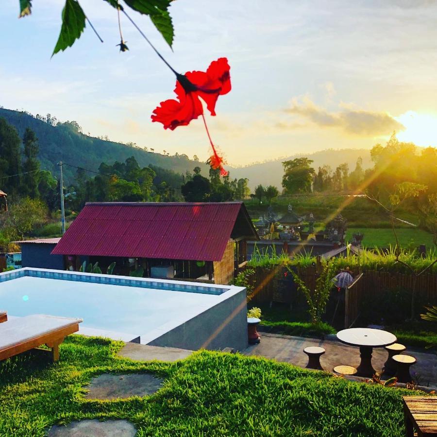 Bukit Catu Bungalows Kintamani  Ngoại thất bức ảnh