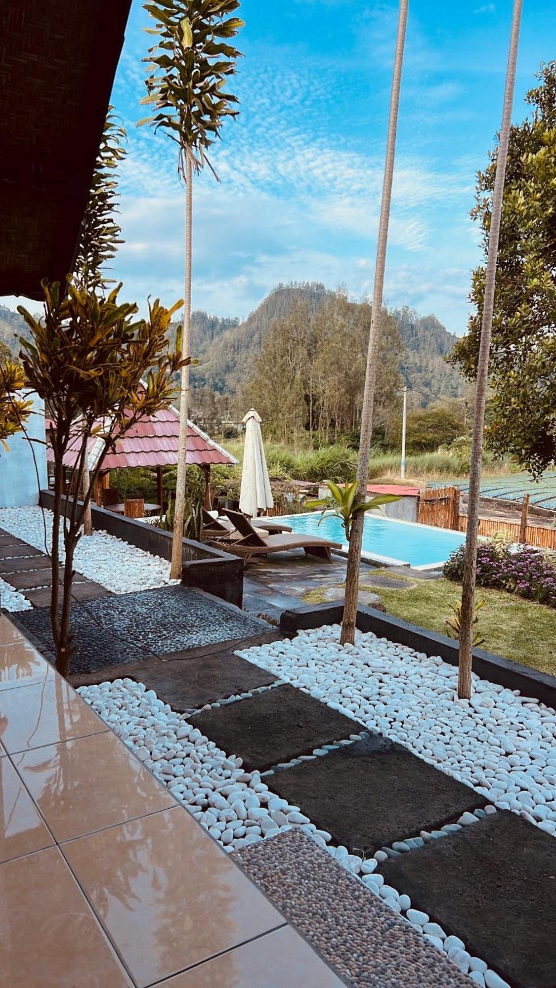Bukit Catu Bungalows Kintamani  Ngoại thất bức ảnh